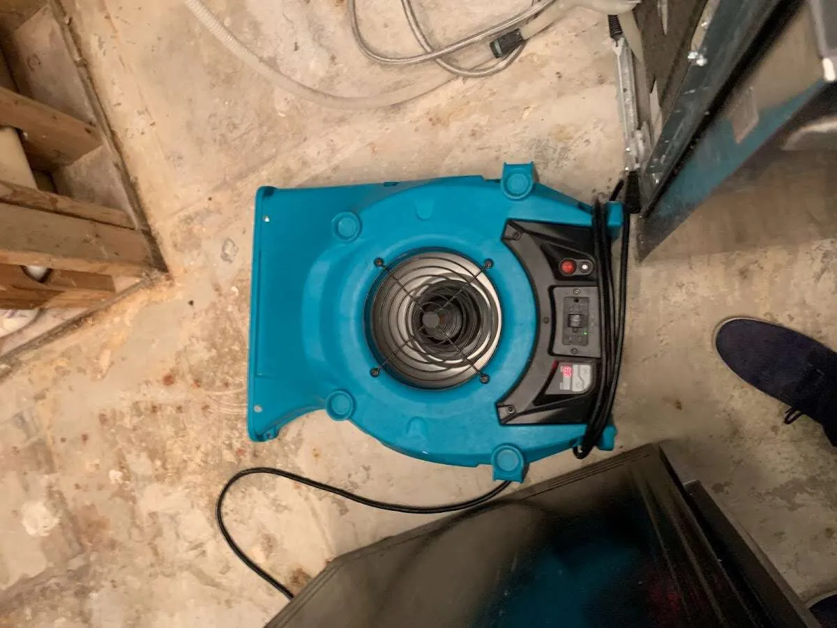 Air mover drying equipment for Mold Remediation & Removal in Mason City
